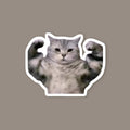 Billu boss sticker