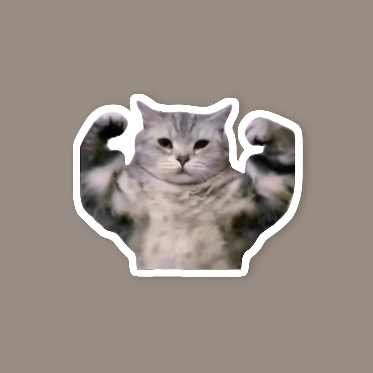 Billu boss sticker